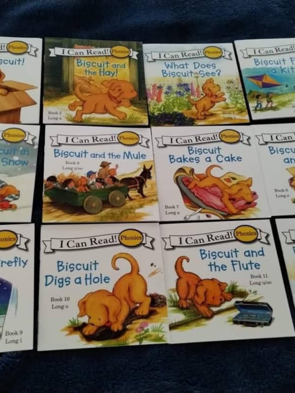 Biscuit - I Can Read Phonics books,new